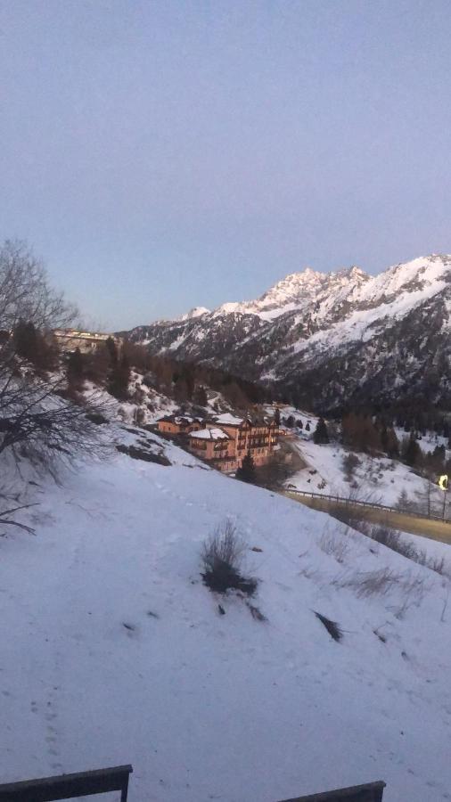 Gran * Passo del Tonale