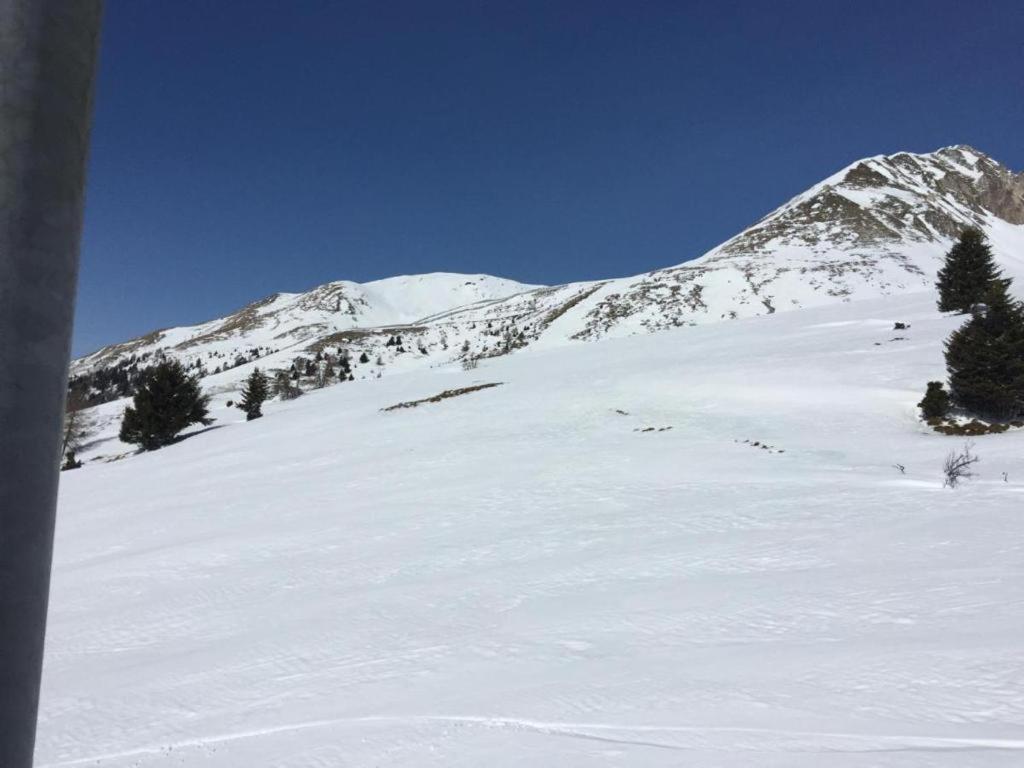 Gran * Passo del Tonale